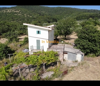 CASTEL SAN PIETRO ROMANO TINELLO CON TERRENO