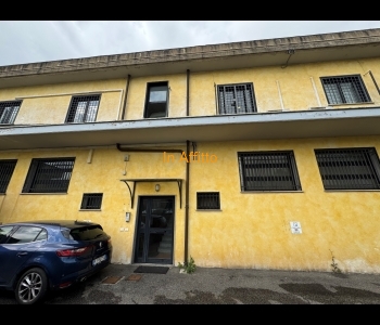 PALESTRINA UFFICIO